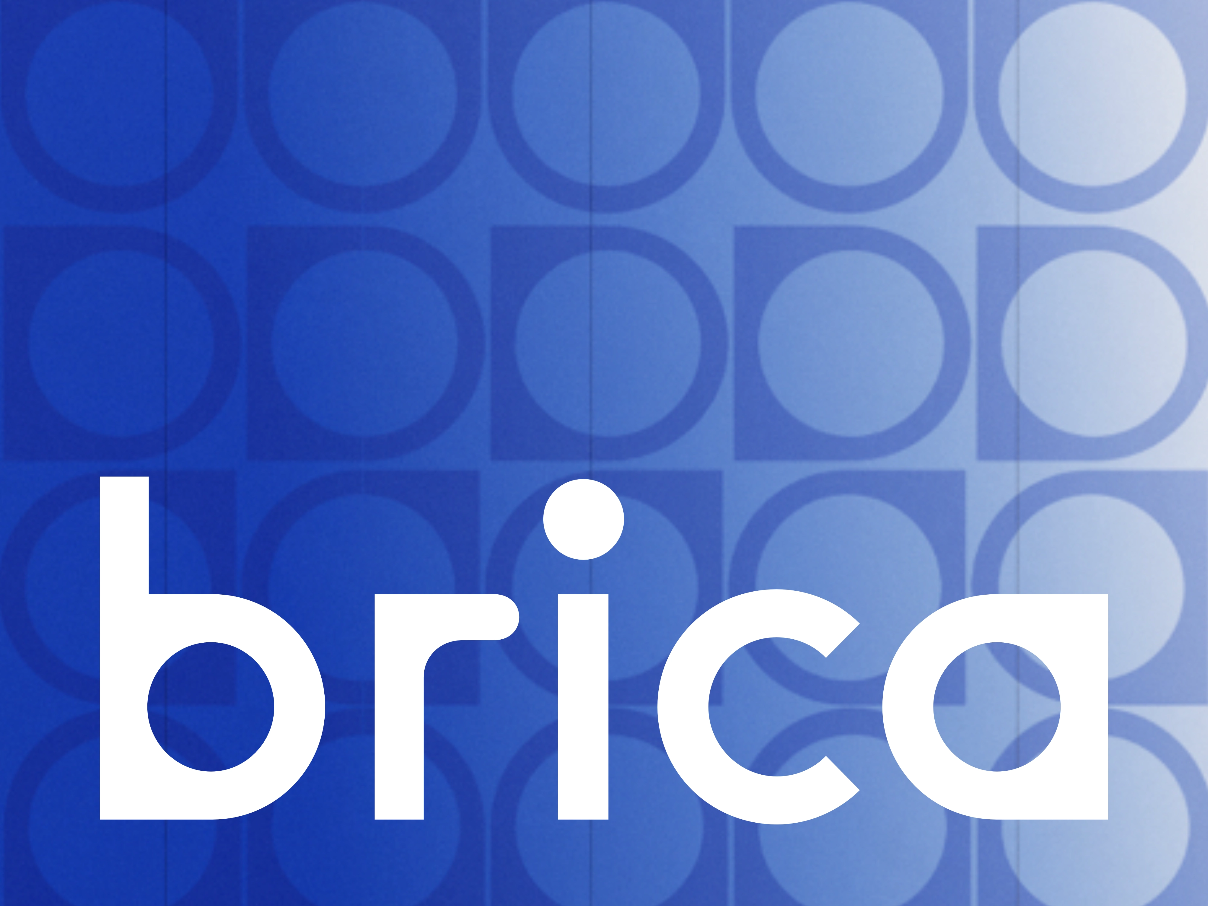 1 BRICA 1 BRICA